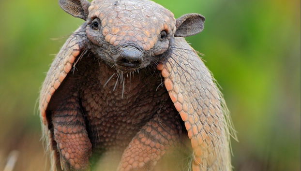 Trilha pela Reserva Curi Cancha - Foto 4