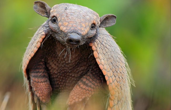 Trilha pela Reserva Curi Cancha - Foto 4