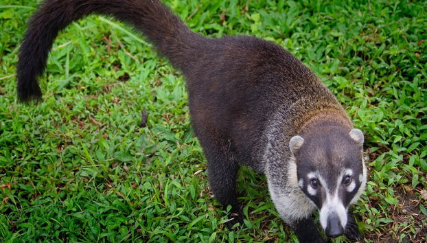 Trilha pela Reserva Curi Cancha - Foto 3