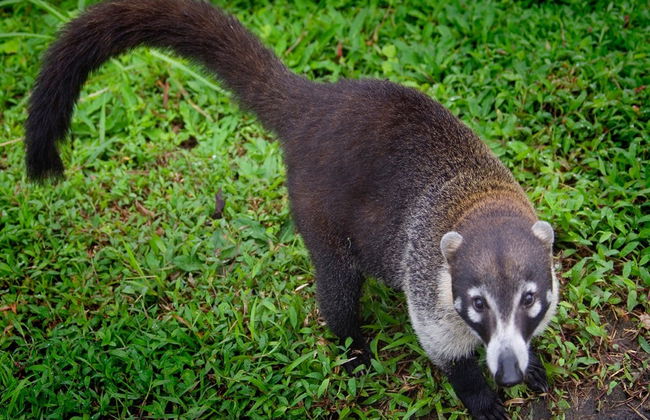 Trilha pela Reserva Curi Cancha - Foto 3