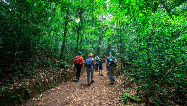 Curi Chancha Reserve Hiking - Foto 2