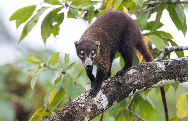 Trilha pela Reserva Curi Cancha - Foto 1