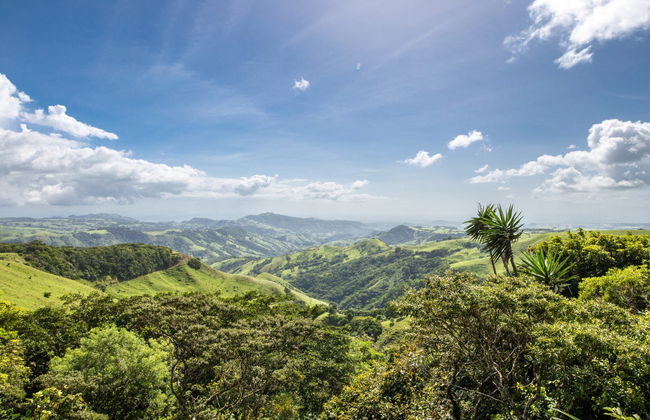 Traslado a Monteverde + Barco por el lago Arenal - Foto 6