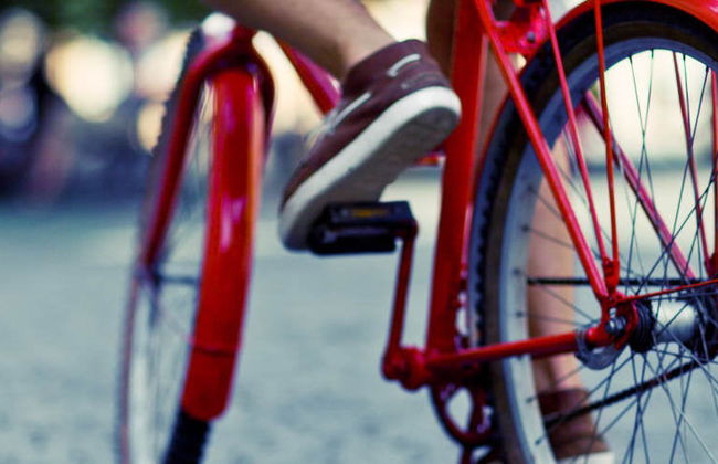 Tour en bicicleta por Honfleur - Foto 5