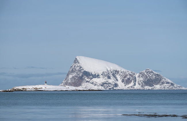 Excursão ao fiorde e ilha de Kvaløya - Foto 6