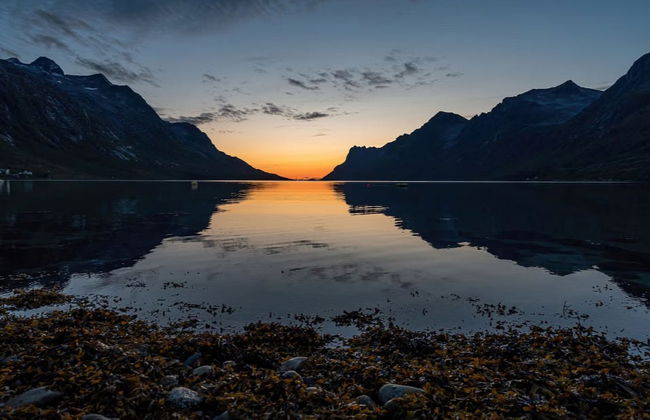 Excursão ao fiorde e ilha de Kvaløya - Foto 3