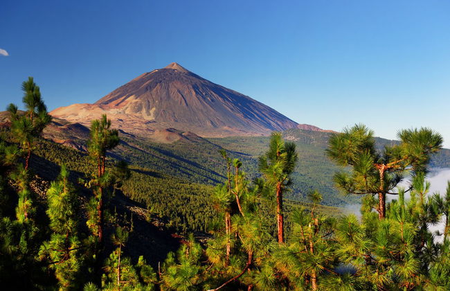 Teide National Park Jeep Safari - Foto 4