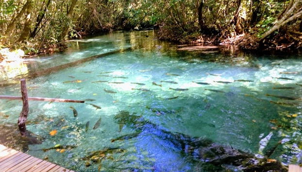 Excursion to Aquário Encantado in Nobres - Foto 5