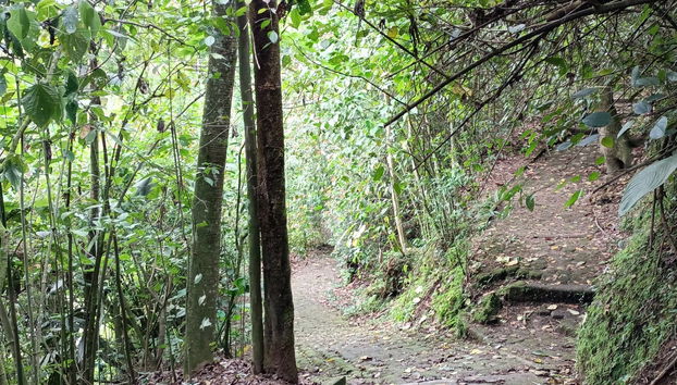 Parque de la Vida Free Tour - Photo 2