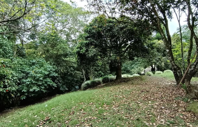 Free tour por el Parque de la Vida - Foto 6