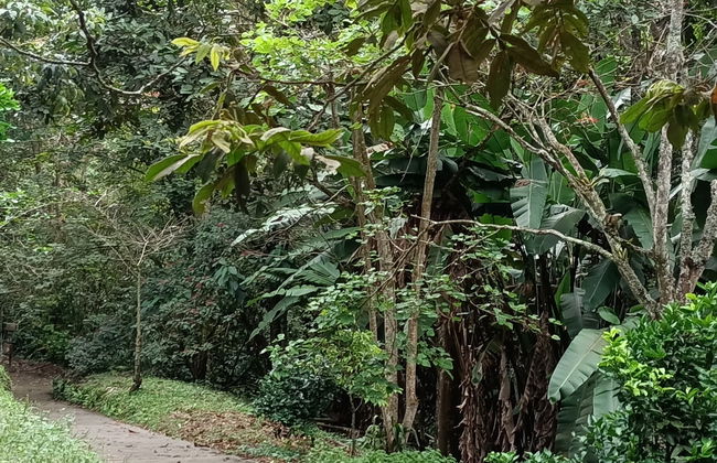 Free tour por el Parque de la Vida - Foto 7