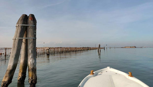 Paseo en barco por la isla Pellestrina - Foto 5