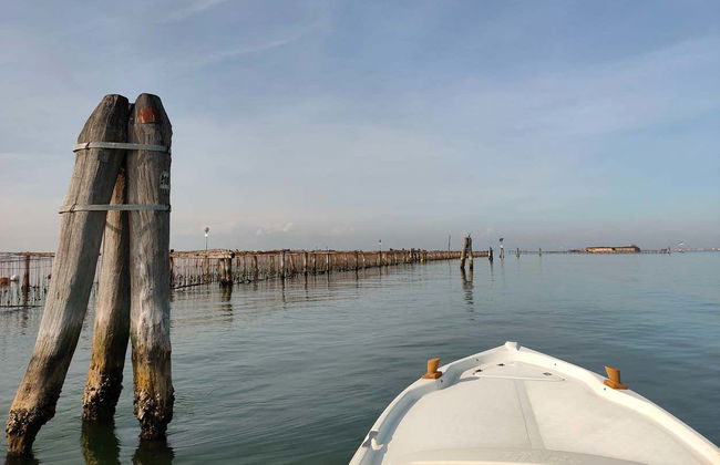 Paseo en barco por la isla Pellestrina - Foto 5