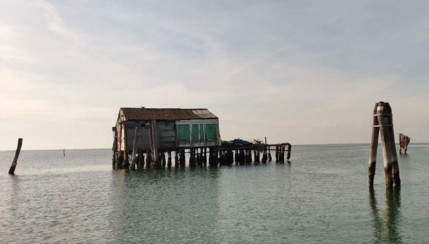 Paseo en barco por la isla Pellestrina - Foto 3