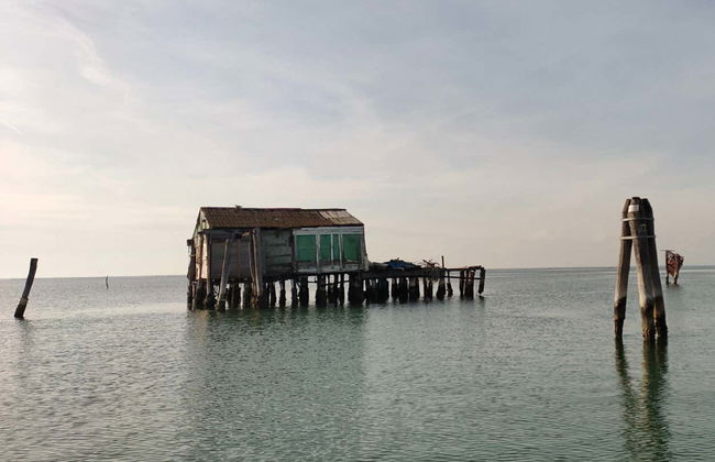 Paseo en barco por la isla Pellestrina - Foto 3