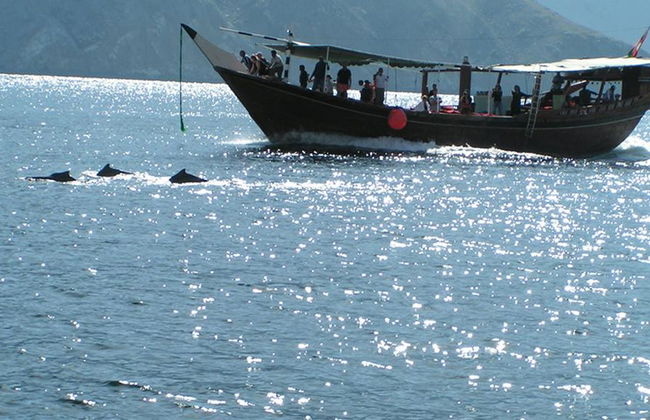 Excursión en Barco para Avistamiento de Delfines - Foto 2