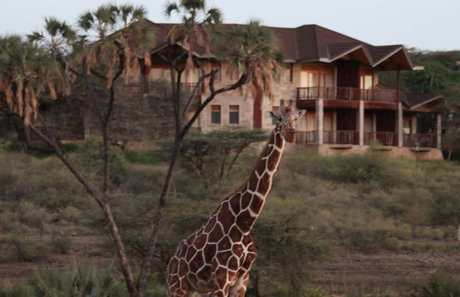 Samburu National Reserve Private 2 or 3-Day Safari - Photo 7