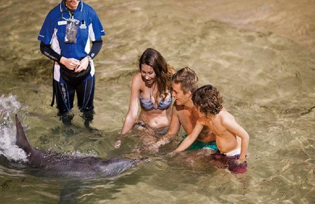 Croisière d'observation des baleines à Tangalooma Island - Photo 3