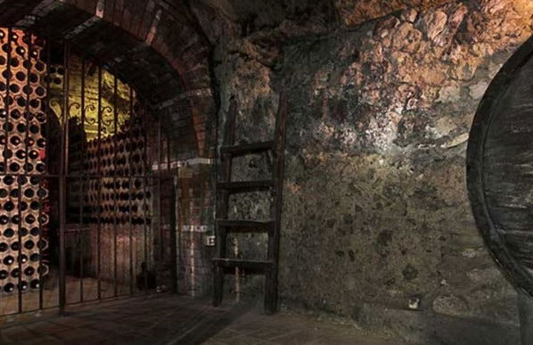 Visita a la Bodega Histórica Don Carlos con cata de vinos - Foto 11