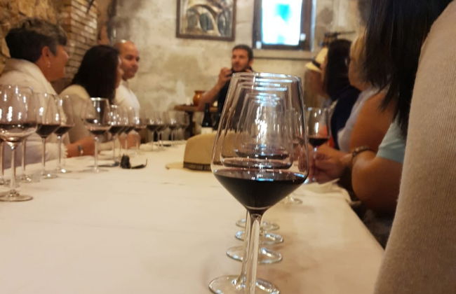 Visita a la Bodega Histórica Don Carlos con cata de vinos - Foto 5