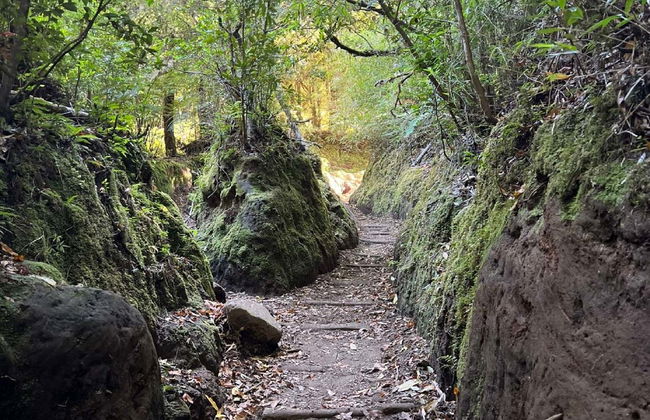 La Escondida Waterfall, Coihue de los Columpios + Cochamó Excursion - Foto 1