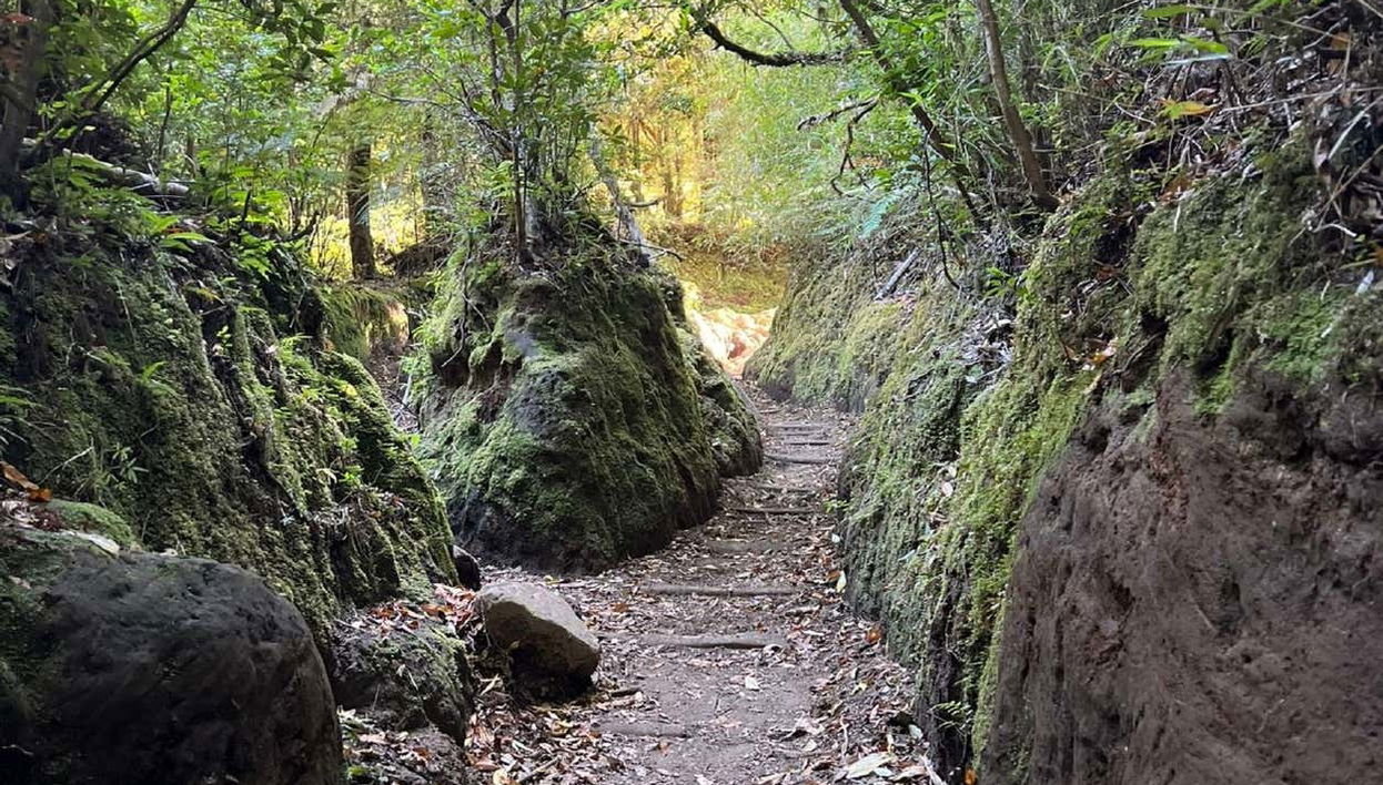 La Escondida Waterfall, Coihue de los Columpios + Cochamó Excursion - Foto 1