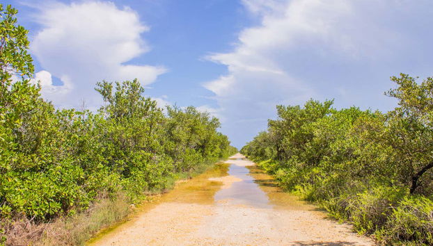 Ciénaga de Zapata National Park Tour - Photo 4