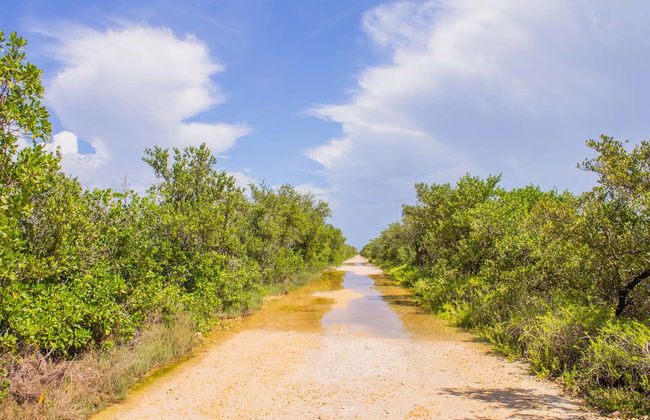 Ciénaga de Zapata National Park Tour - Foto 6