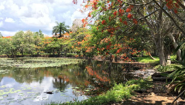 Ciénaga de Zapata National Park Tour - Photo 5