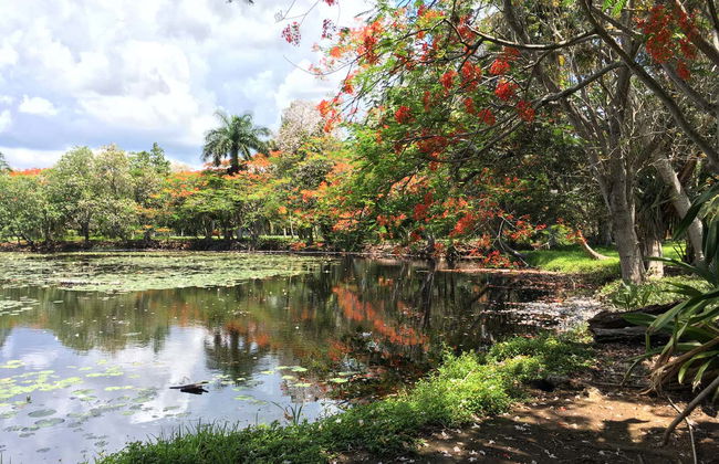 Ciénaga de Zapata National Park Tour - Foto 1