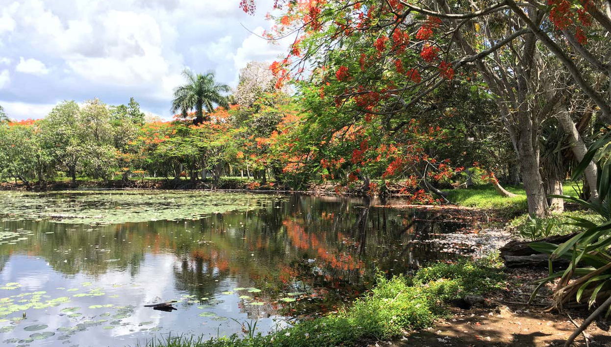 Ciénaga de Zapata National Park Tour - Foto 1
