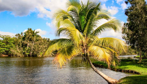 Ciénaga de Zapata National Park Tour - Photo 3