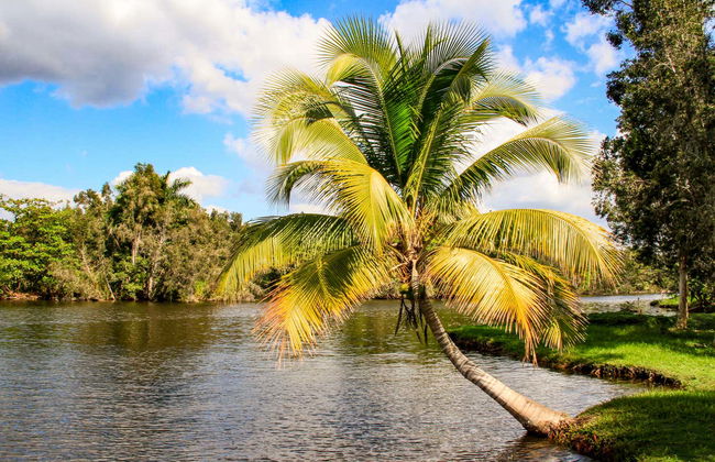 Ciénaga de Zapata National Park Tour - Foto 5