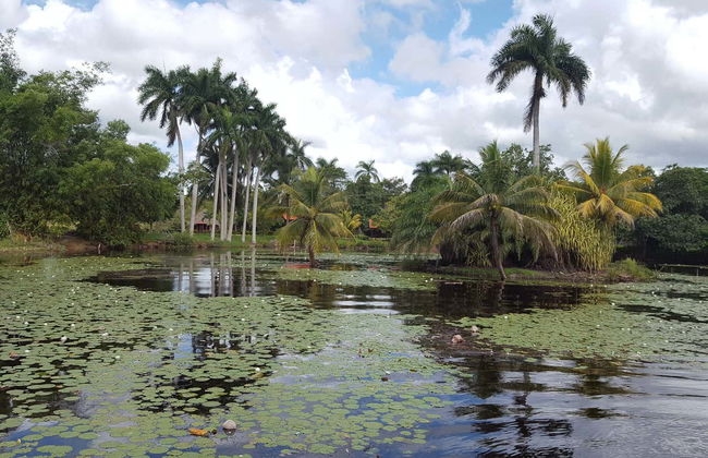 Ciénaga de Zapata National Park Tour - Foto 7