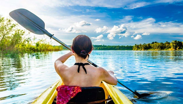 Tour en kayak por el santuario de aves Caroni - Foto 4