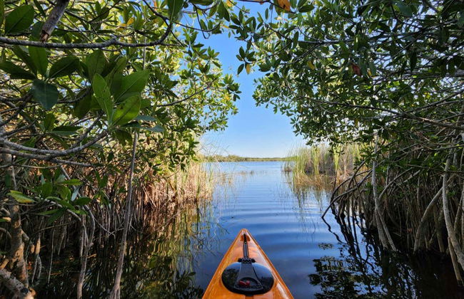 Tour en kayak por el santuario de aves Caroni - Foto 1