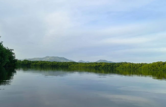 Balade en kayak dans la réserve ornithologique de Caroni - Photo 2