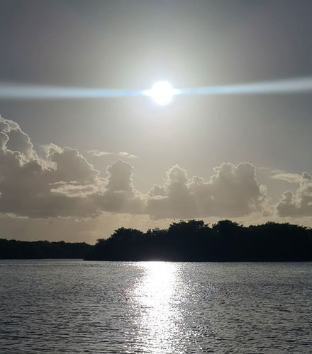 Foto de Tour en kayak por el santuario de aves Caroni