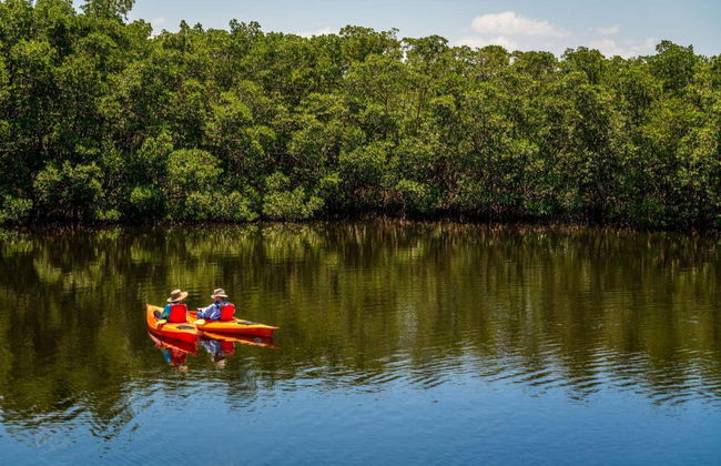 Tour en kayak por el santuario de aves Caroni - Foto 3