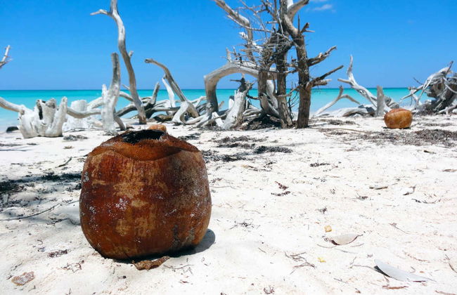 Transfer to Cayo Jutías - Foto 6