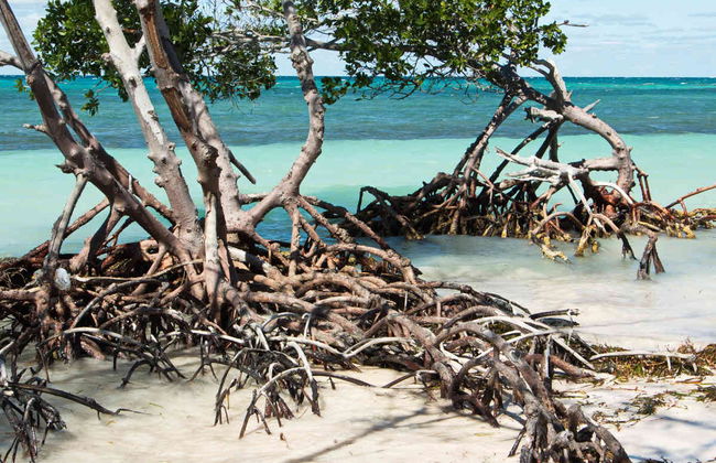 Transfer to Cayo Jutías - Foto 4