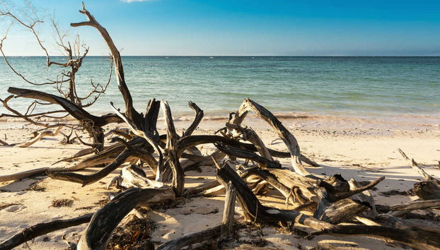 Transfer to Cayo Jutías - Foto 5