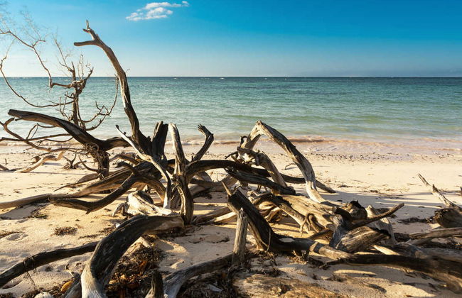 Transfer to Cayo Jutías - Foto 5