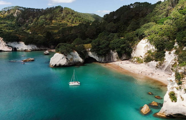 Location de bateau avec capitaine à Whitianga - Photo 7