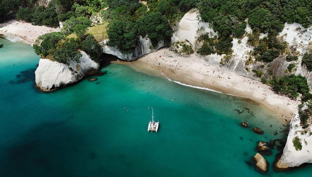 Coromandel Boat Charter with Skipper - Photo 4
