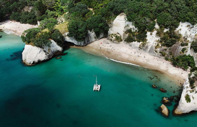 Location de bateau avec capitaine à Whitianga - Photo 4