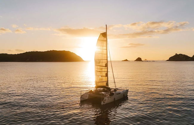 Location de bateau avec capitaine à Whitianga - Photo 6