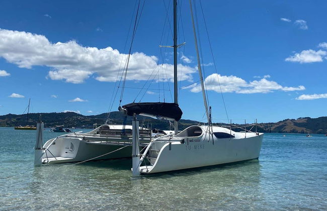 Location de bateau avec capitaine à Whitianga - Photo 5