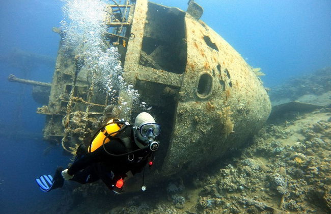 Red Sea Scuba Diving - Photo 6