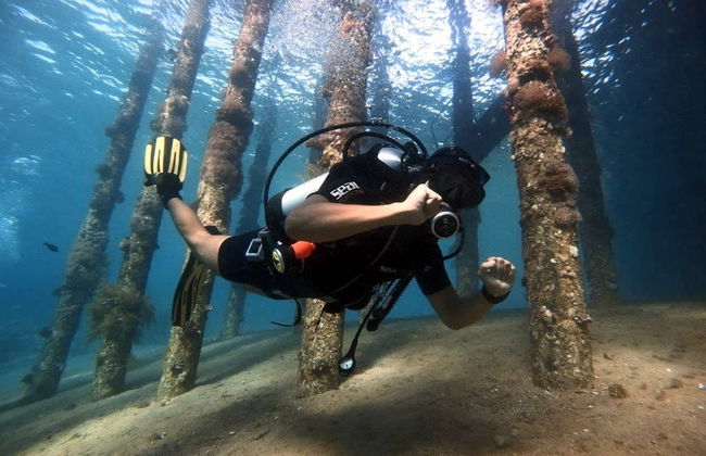 Red Sea Scuba Diving - Photo 2